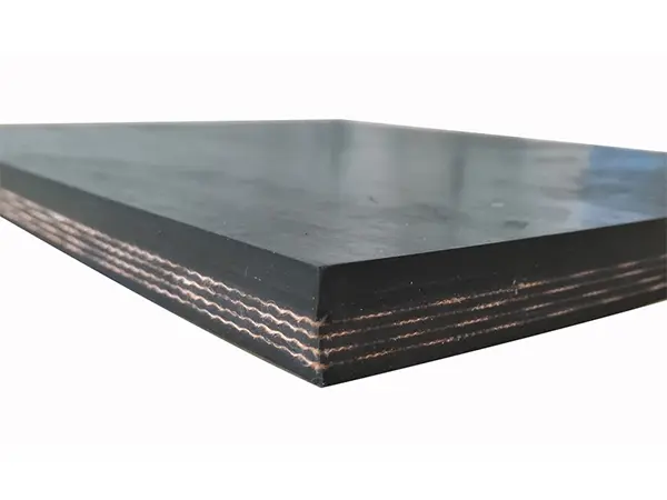 Cold Resistant Conveyor Belt
